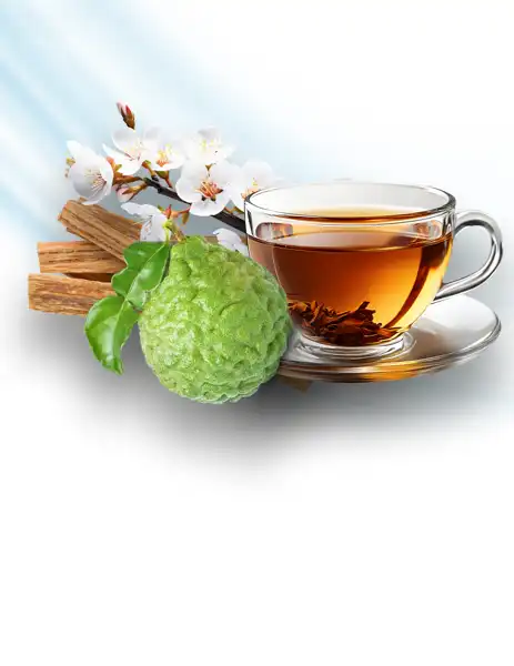 Napa Bergamot Clean Fragrance - Clean Fragrances